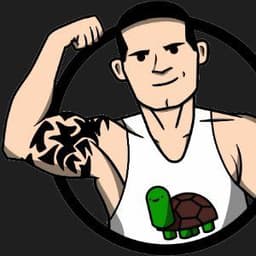 Turtles