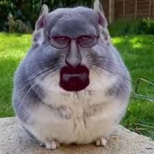 XLEBOS0L