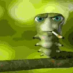 jonjon666
