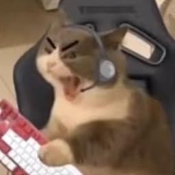 zaik666