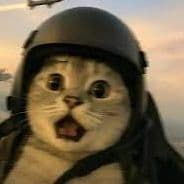TravisCatt