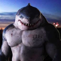 shark_ppp_