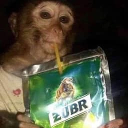 _hvbii
