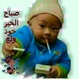 shnayderrrr