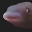 TheEpicDuck_
