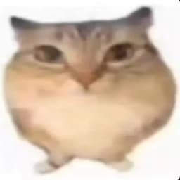 MaidenCS