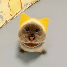 sonuwqw
