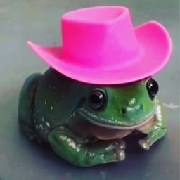 Frogmaster33