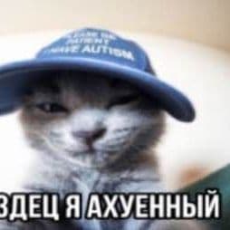 Sorexxxxxx