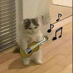 Popapopa2
