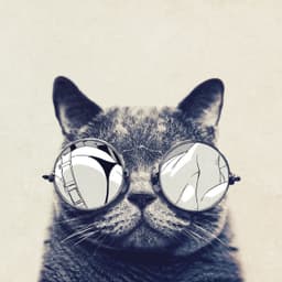 Solay-dee