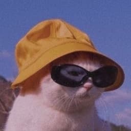 kittystreza