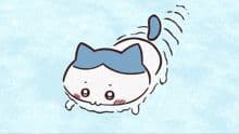 riolu