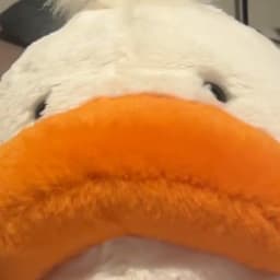 AGGYJ