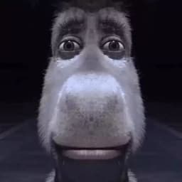 Igoxo123