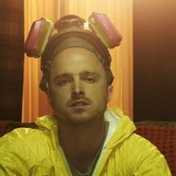 synergee_