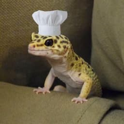 GekkoAMM