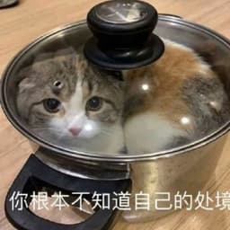 Jjanggo