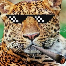 Leleopard