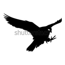 FALcoN_00