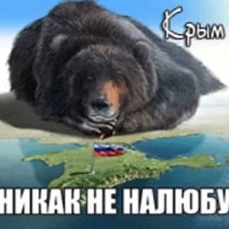 -nesv4