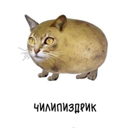 MinOr163