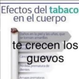 EoH_EKAITZ