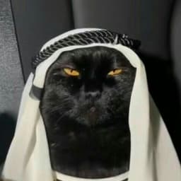 -saad_