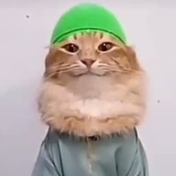 0Mateo