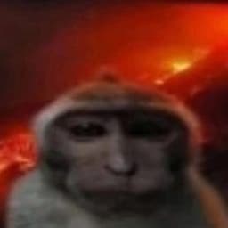AiserC