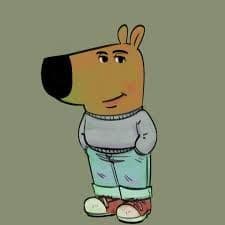 FinnStray