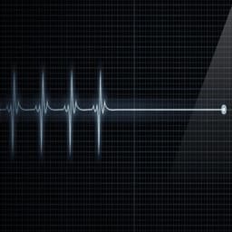 FLATLINE220