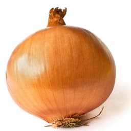 xD_cebula