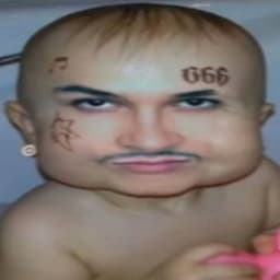 zxc_v1nny3