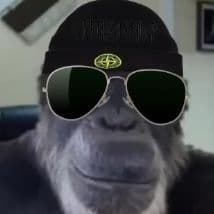mooha1337