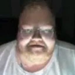 NeeLLik