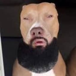 MrHeheheha