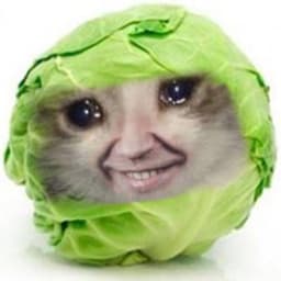 KsanKrigor