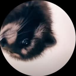 dat_