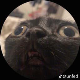 MR_Fall