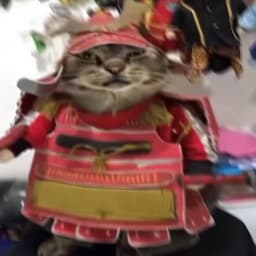DoguhanCML