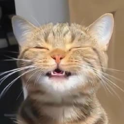 kumaaar
