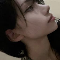 13_aVI