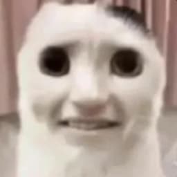 Optam