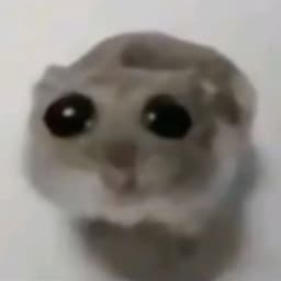merfyyy