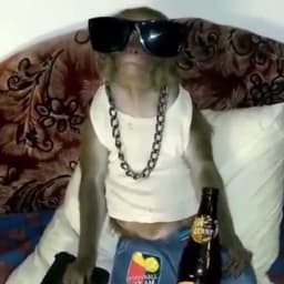 RoroRostik