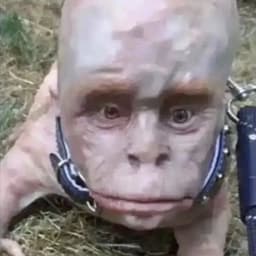markusrjd