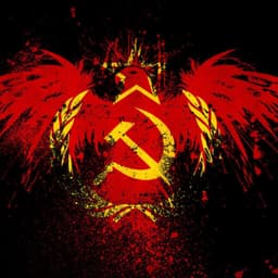 _0_vasiok_0_