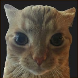 Mishra_Bot