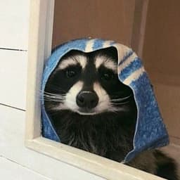Jinxxs